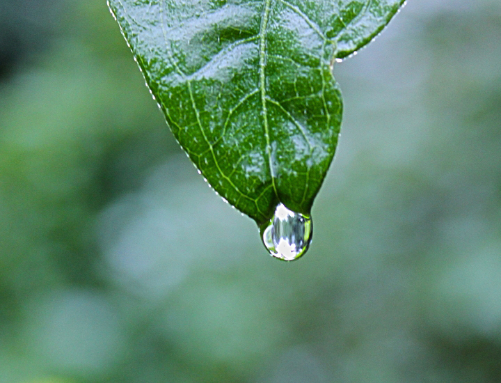 DDOS在线攻击平台