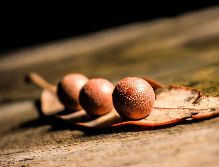 ddos压力在线测试平台